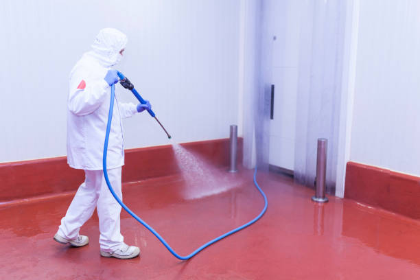 Best Pre-Holiday Cleaning  in Park Hills, KY
